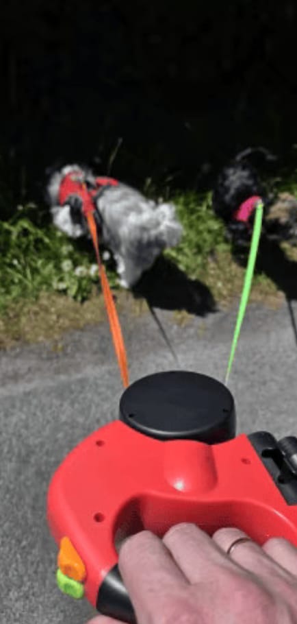 Customer photo review of Tangle-Free Two-in-One Retractable Dog Leash