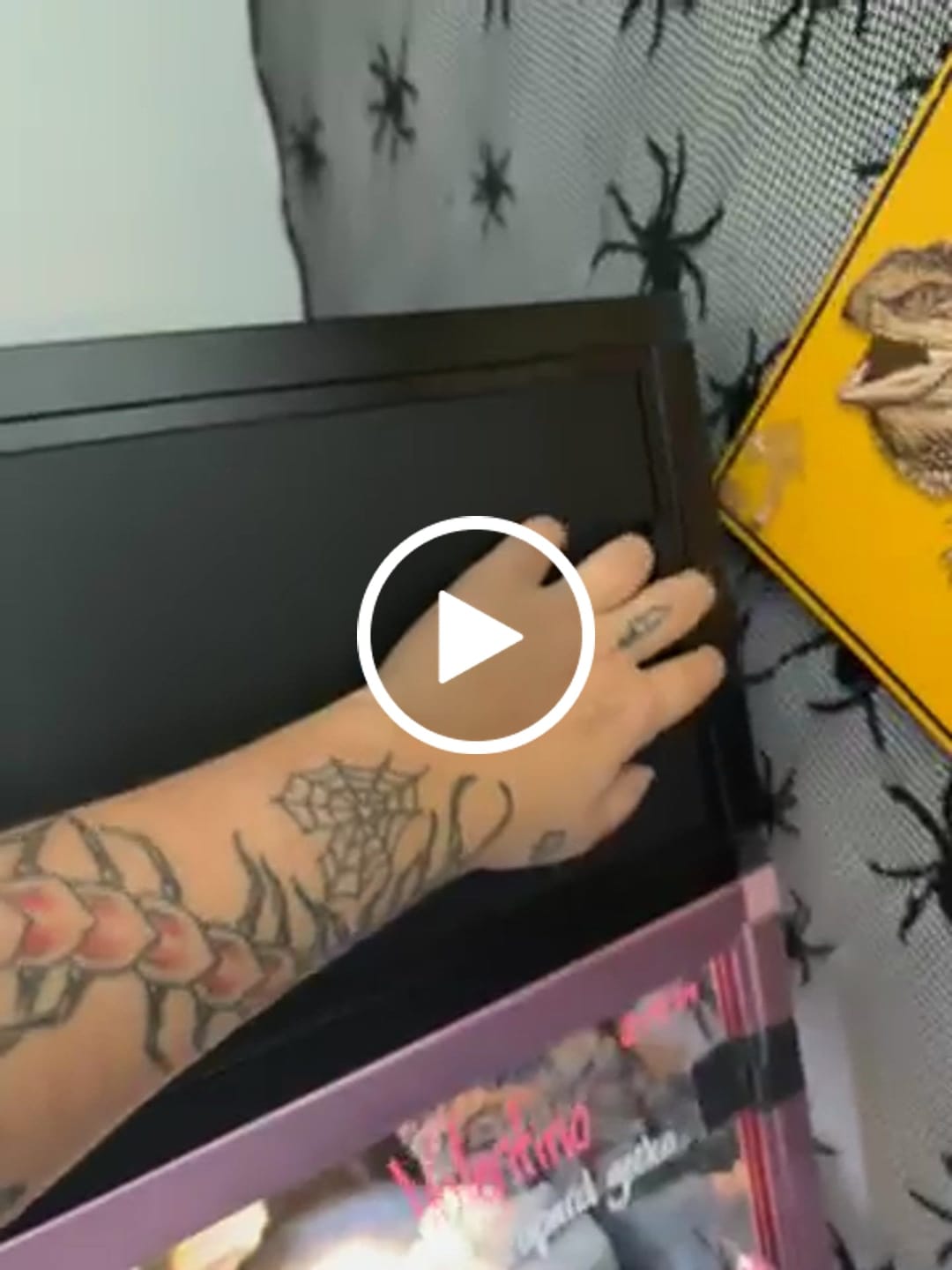 Customer video review of 36'' Spacer Cabinet For 50 Gallon Reptile Tanks
