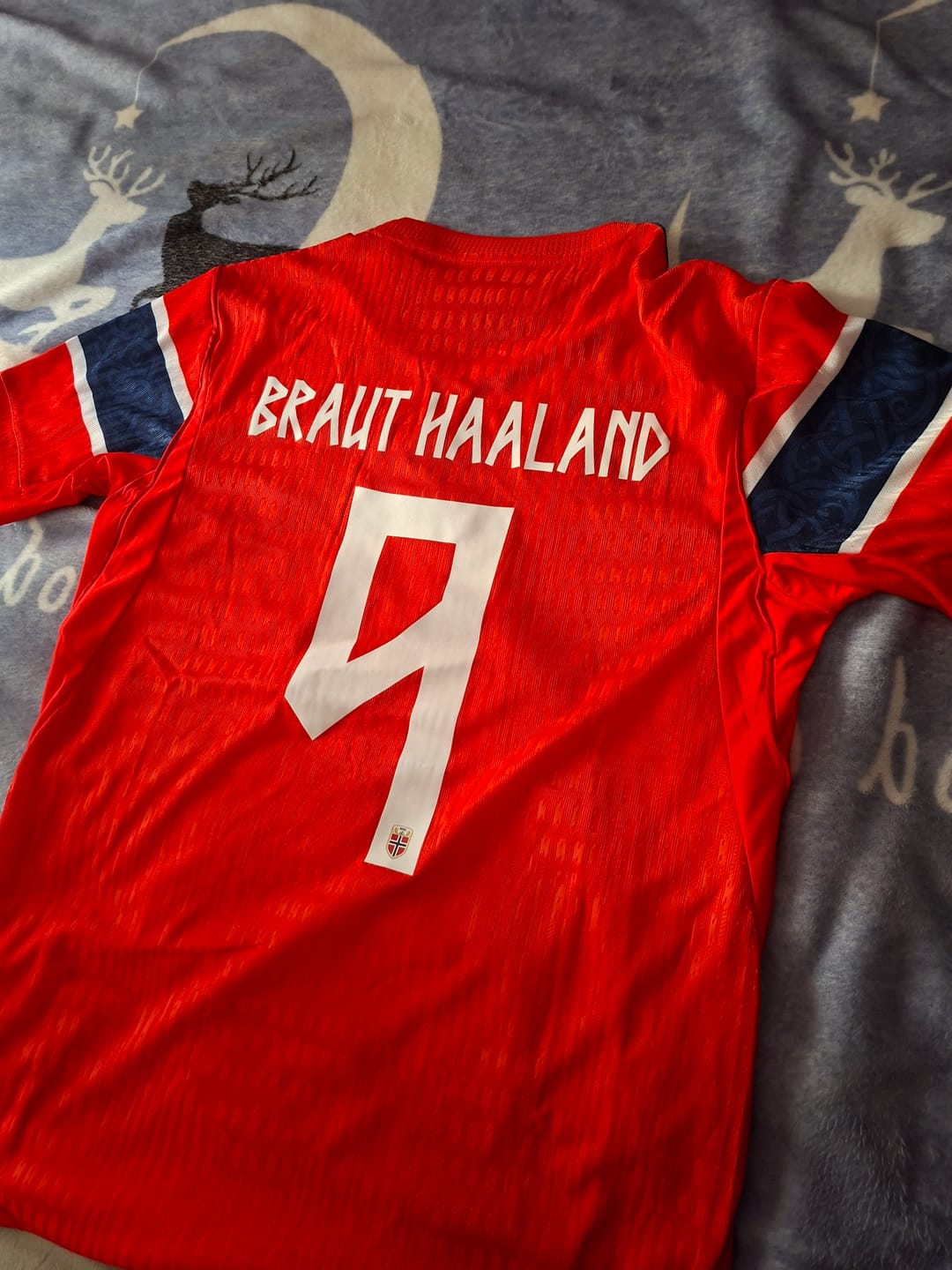 Customer photo review of CAMISETA MUNDIAL NORUEGA HOME 2026/27 PERSONALIZACIÓN HAALAND