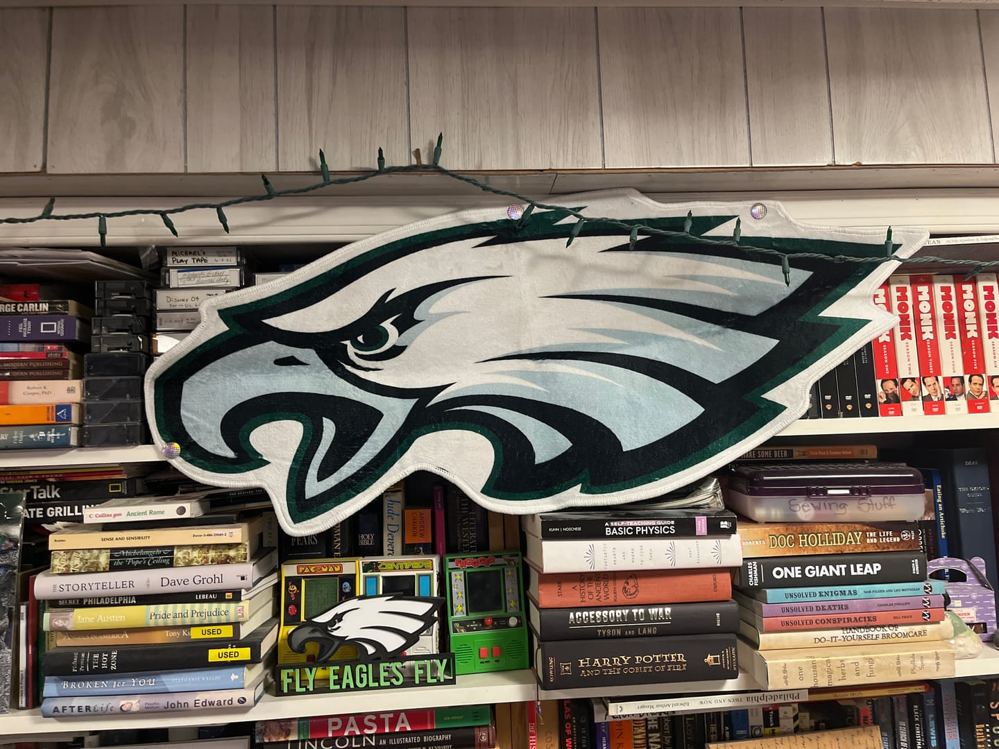 Customer photo review of Philadelphia Eagles Rug