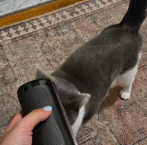 Customer photo review of Deshedding Brush for Dogs & Cats