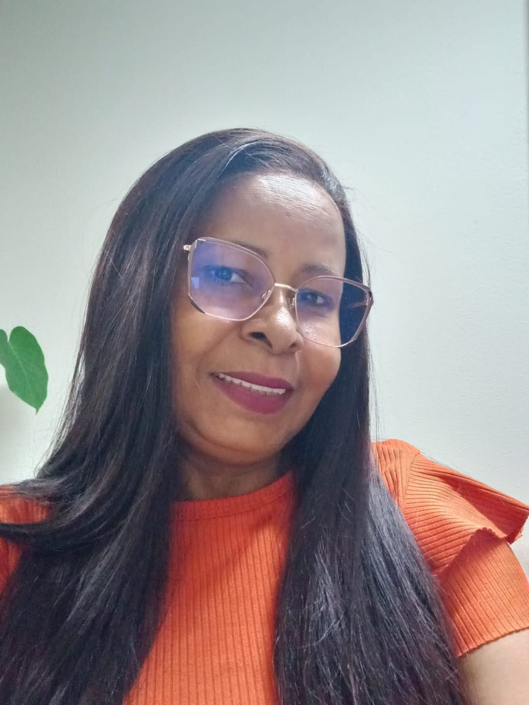 Customer photo review of Lace front Beyonce Castanho T1B/33 Longa Lisa - Repartição Livre 13x4