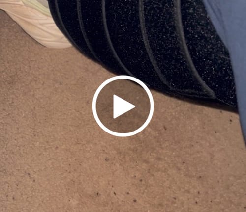 Customer video review of Beltwell® Calf Compression Wrap