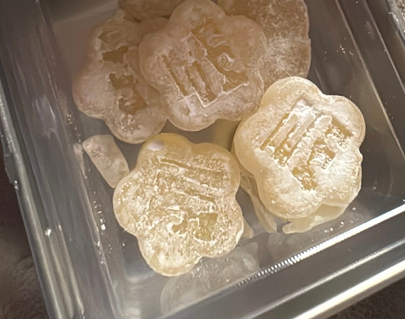 Customer photo review of Mochi Discovery Pack