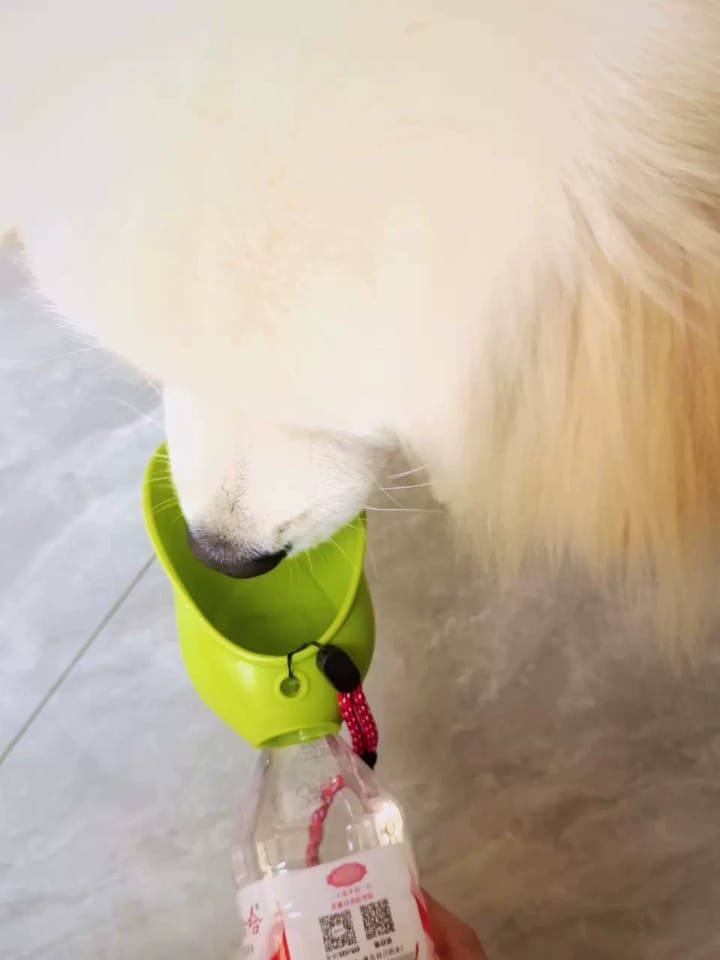 Customer photo review of Portable Dog Water Bottle – Hydration Anywhere