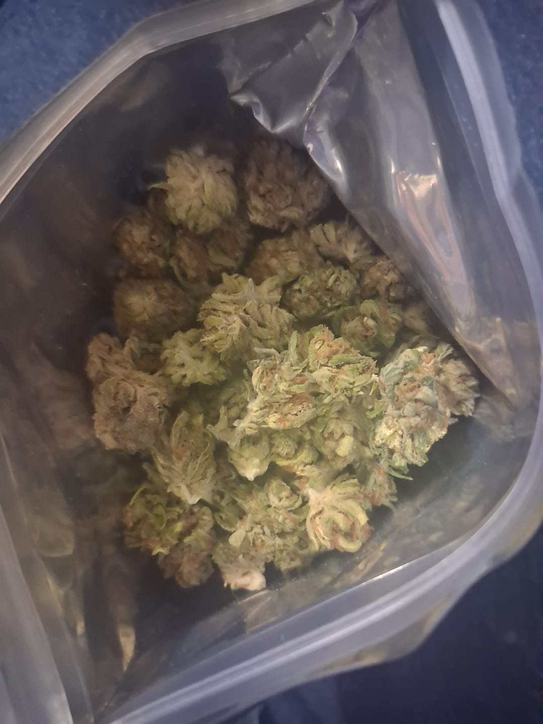 Customer photo review of Grape Gas Mask Exotic THCA