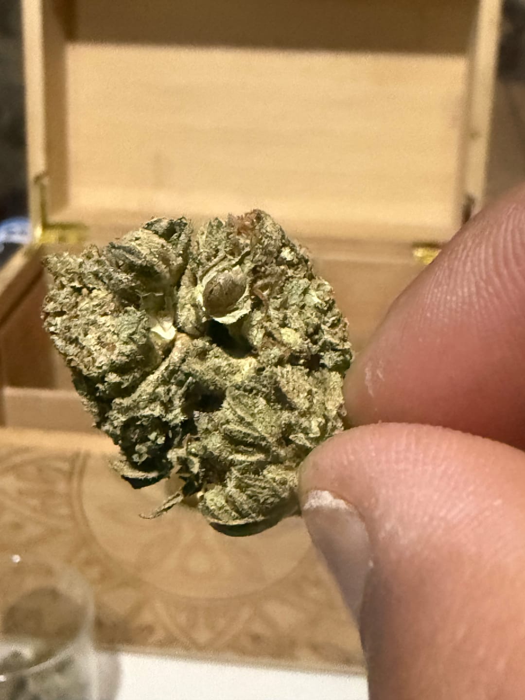 Customer photo review of Good Day - 14 Grams - Ice Cream Cake - Indica