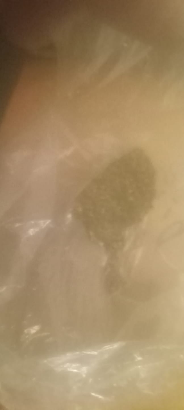Customer photo review of Ghost Train Haze Indoor Trim