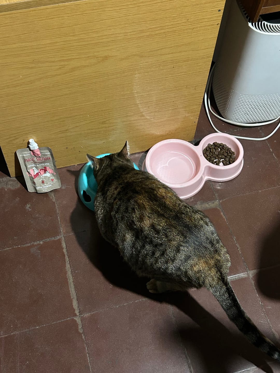 Customer photo review of Magic Salmon Gatos