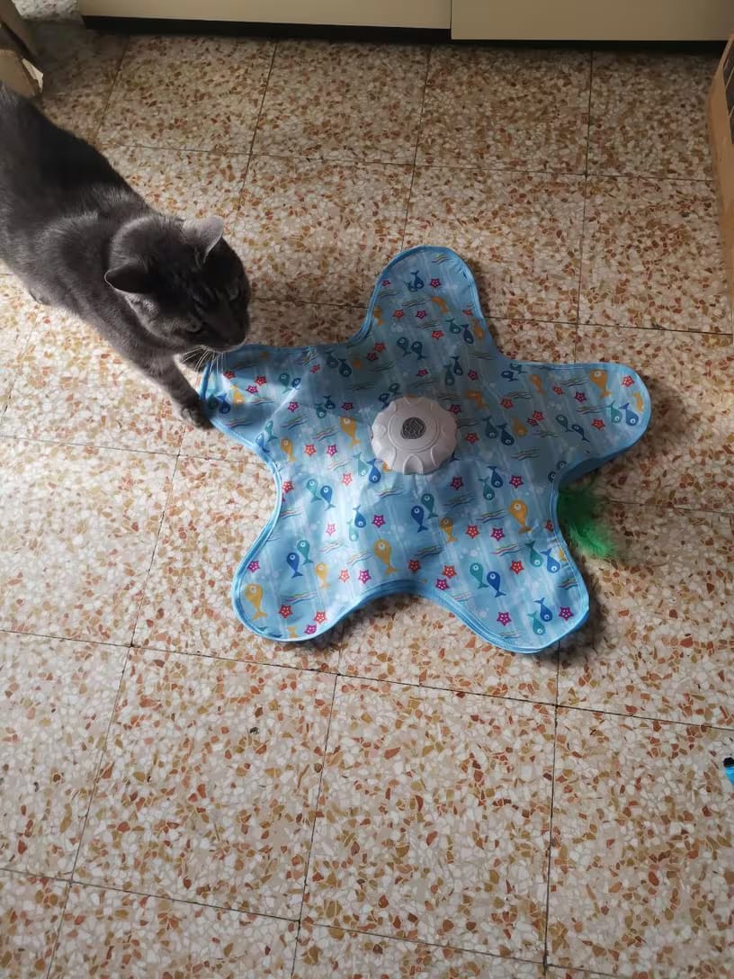 Customer photo review of Interactive Hide and Seek Cat Toy - Automatic Motion Reactive Play