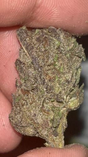 Customer photo review of Frosted Gumbo THCA Flower