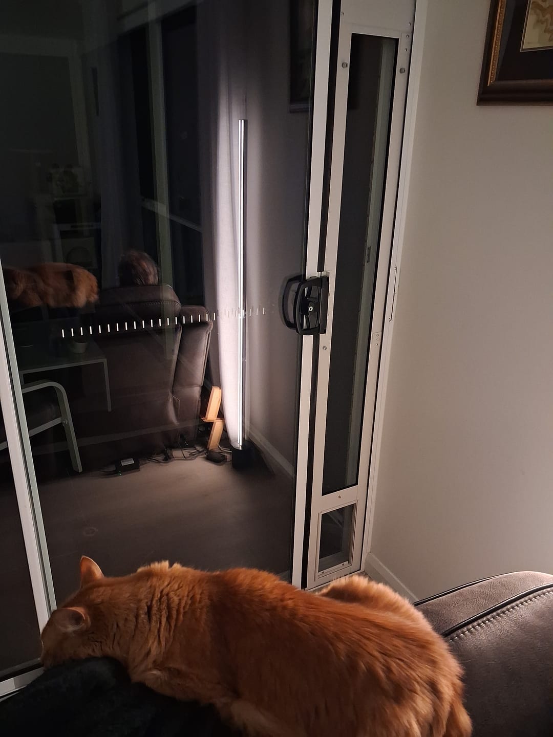 Customer photo review of FREE - Security Pack