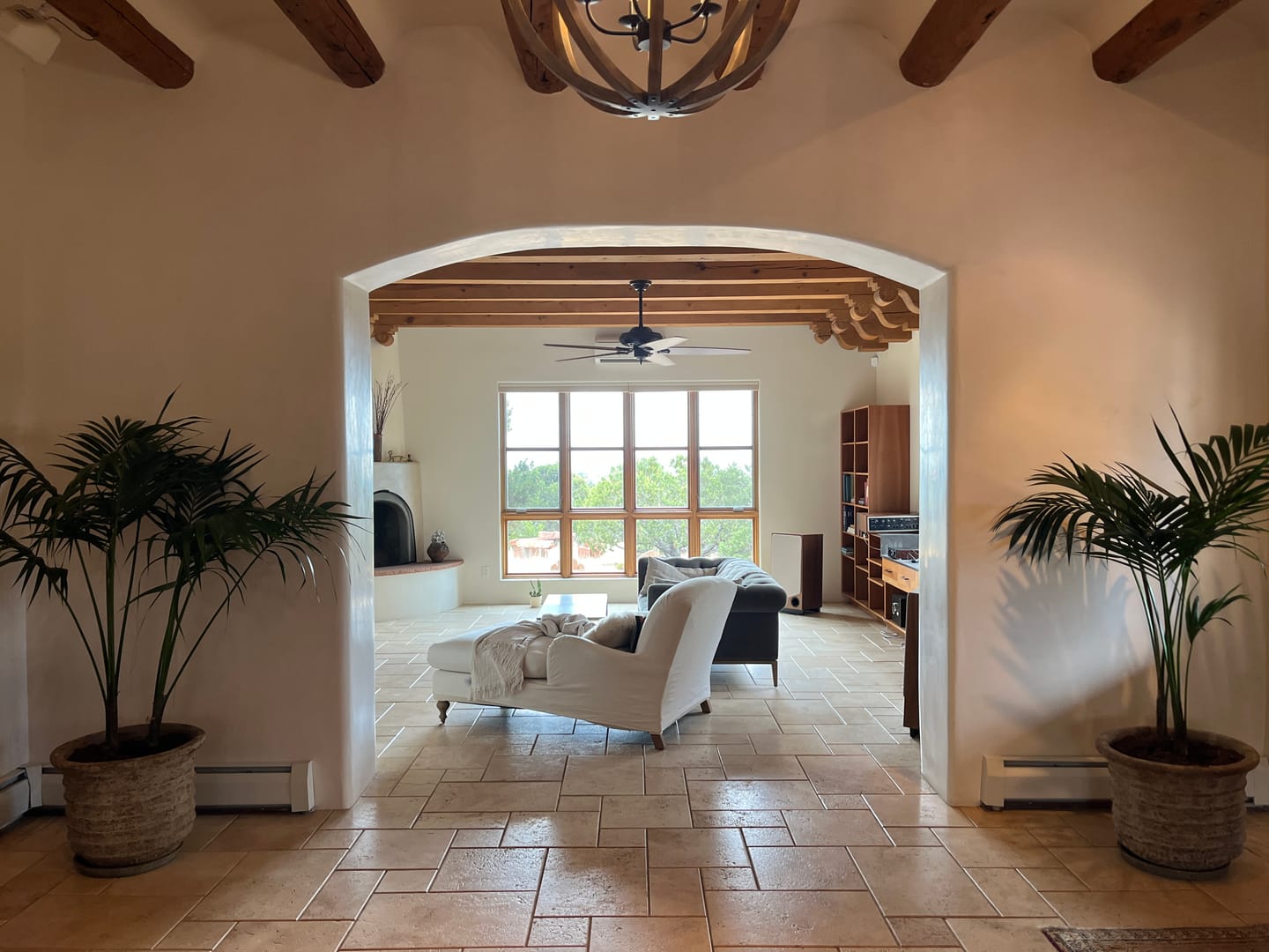 Customer photo review of Kentia Palm Double, Howea Forsteriana