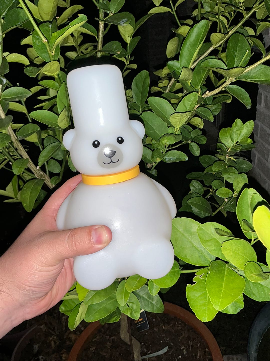 Customer photo review of Koda - Polar Bear Bong
