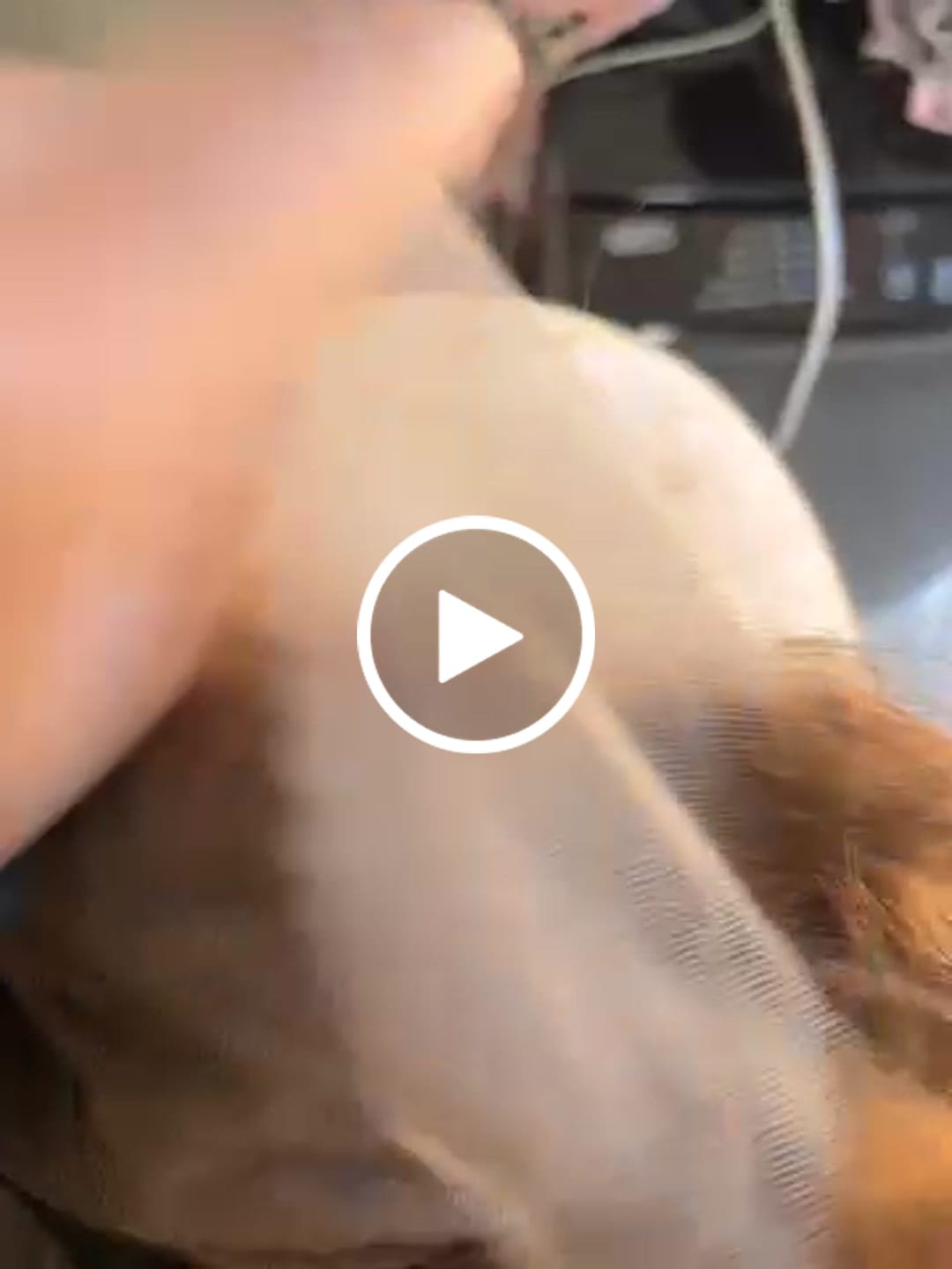 Customer video review of Hairline