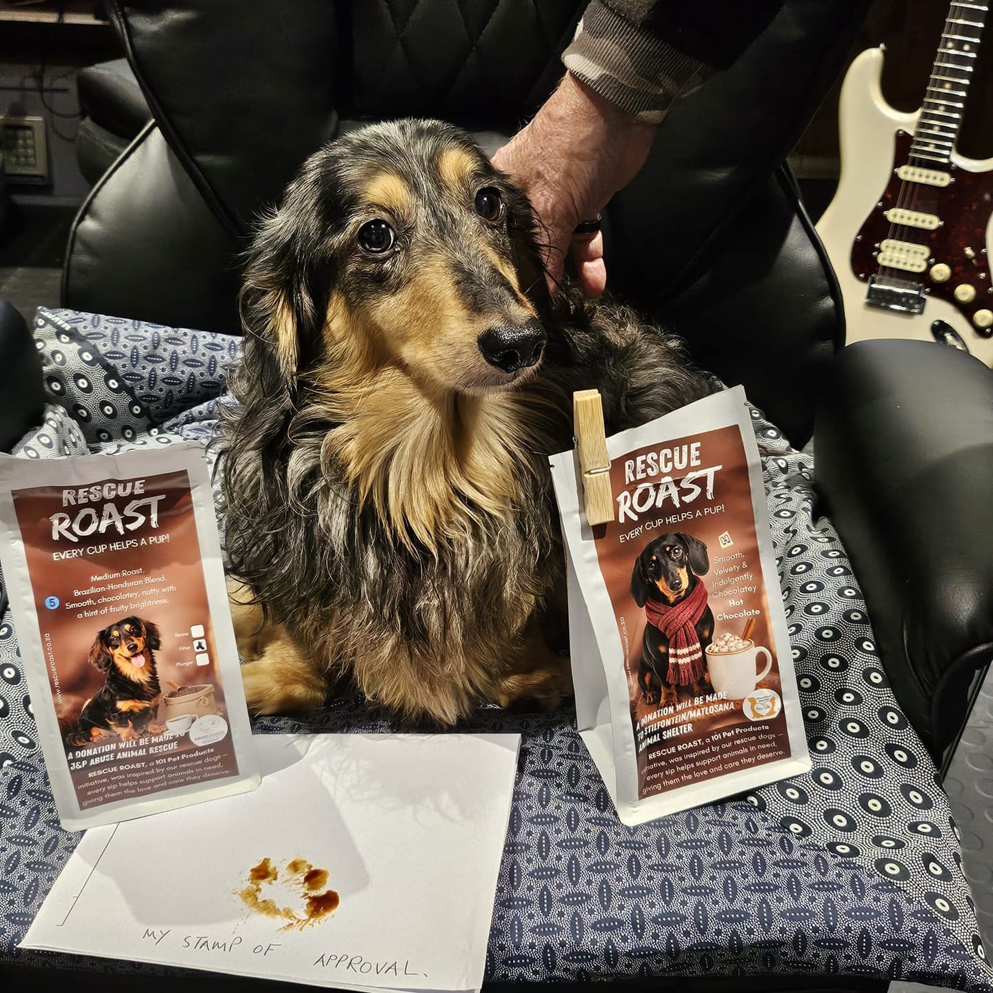 Customer photo review of Everyday Hero (J&P Abuse Animal Rescue) #4