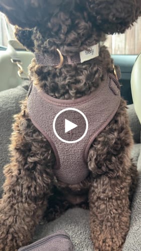 Customer video review of Chocolate┃Bouclé Collar