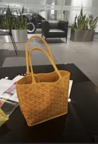Customer photo review of Veyra Reversible Mini Tote