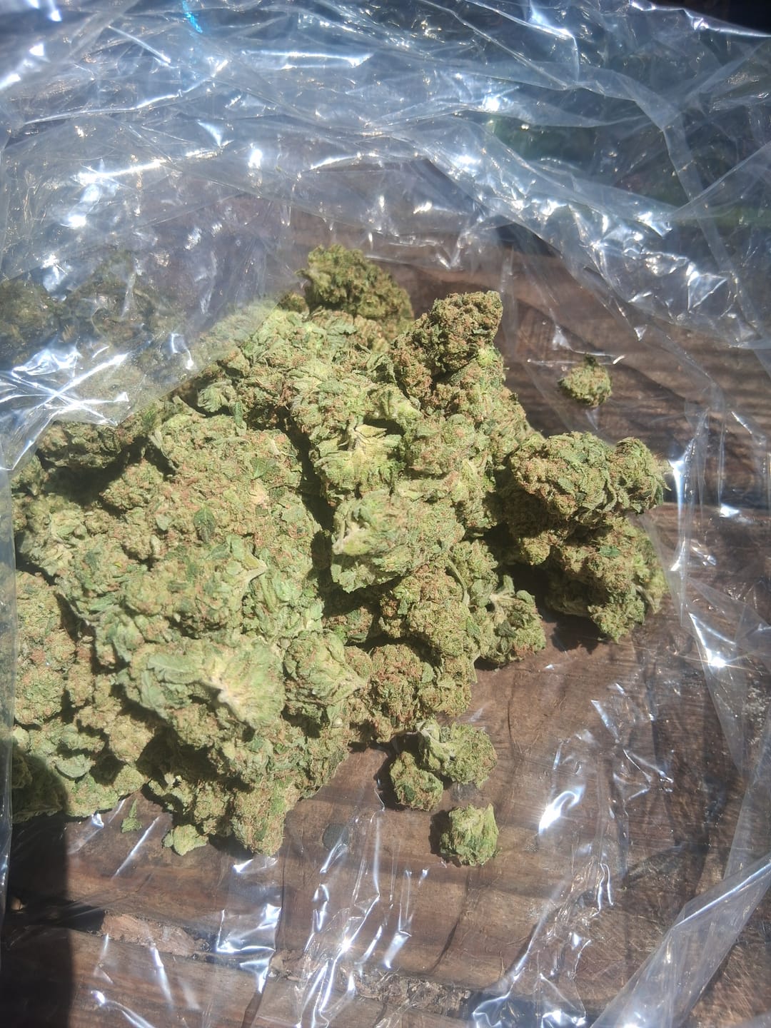 Customer photo review of Alien OG - Bulk - Indica