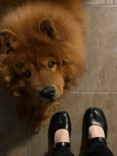 Customer photo review of Tabi loafers