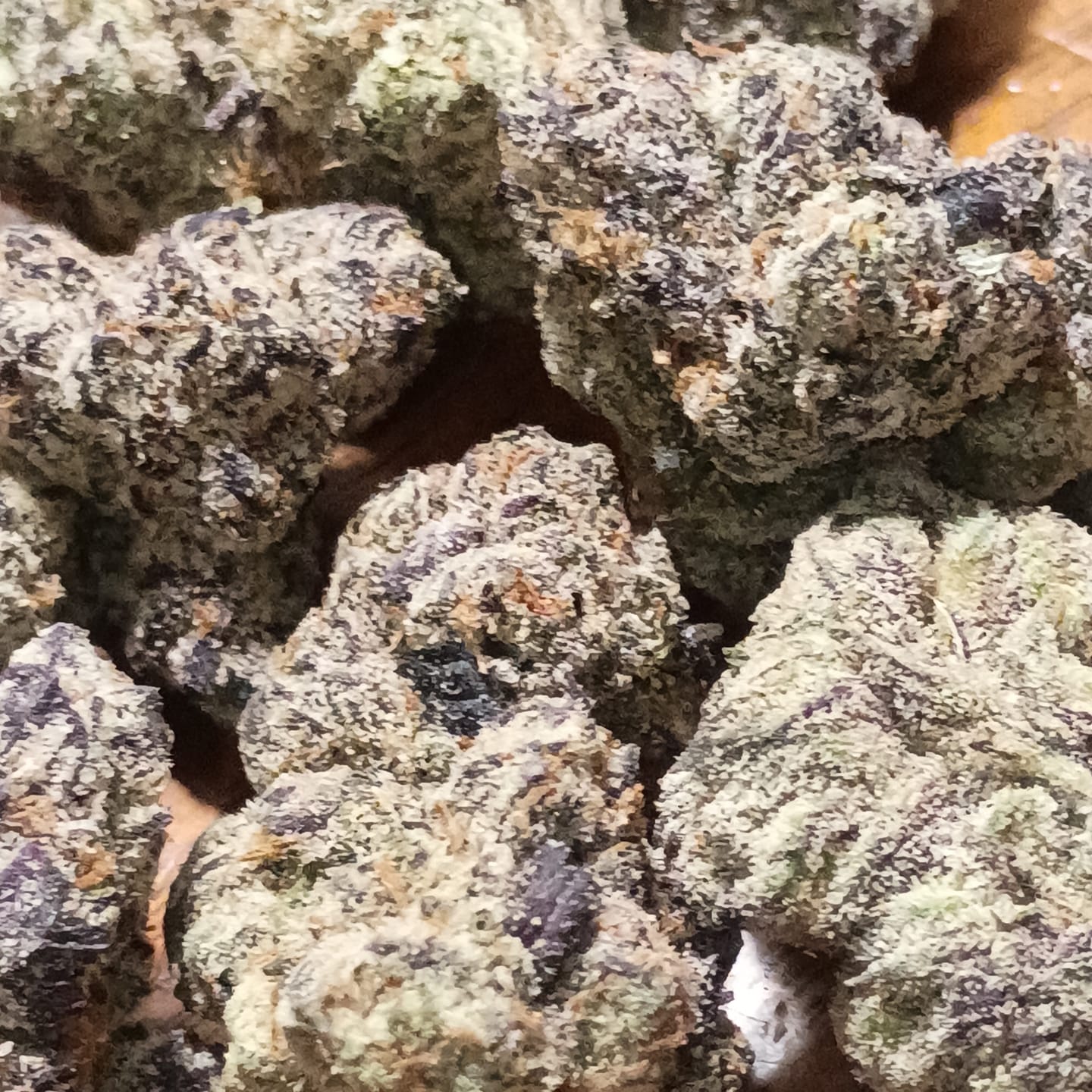 Customer photo review of Bubblegum