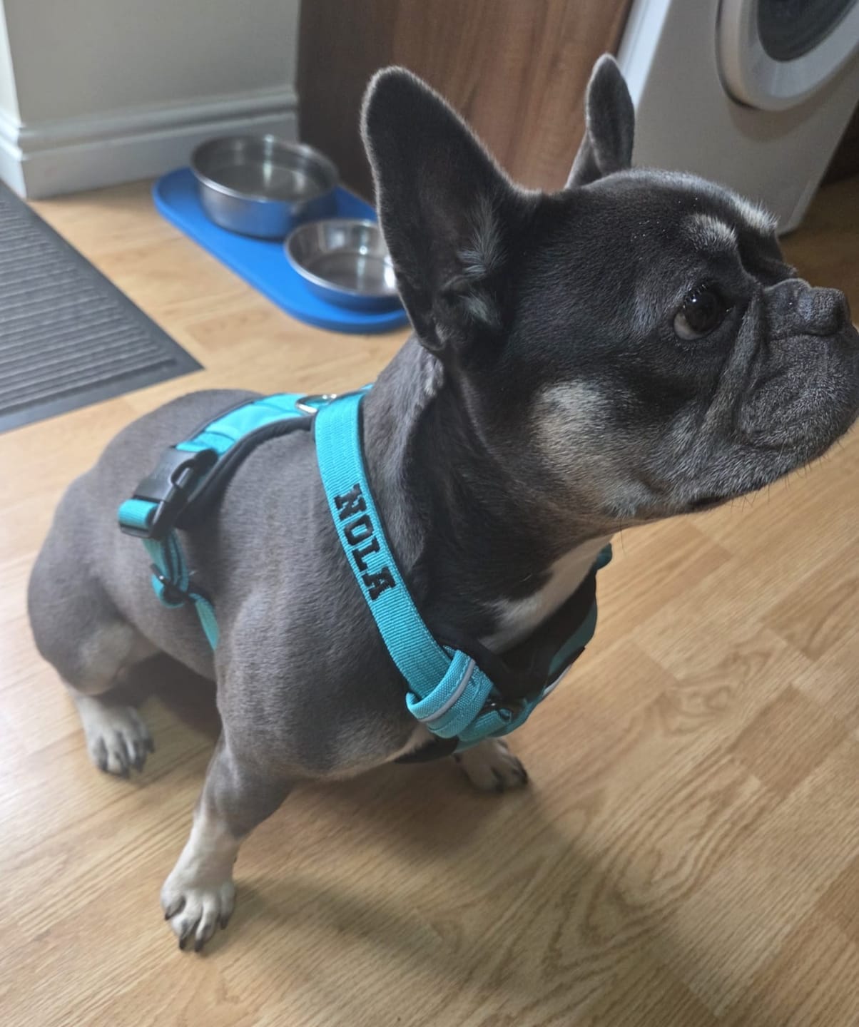 Customer photo review of Personalisation Fee £4.99