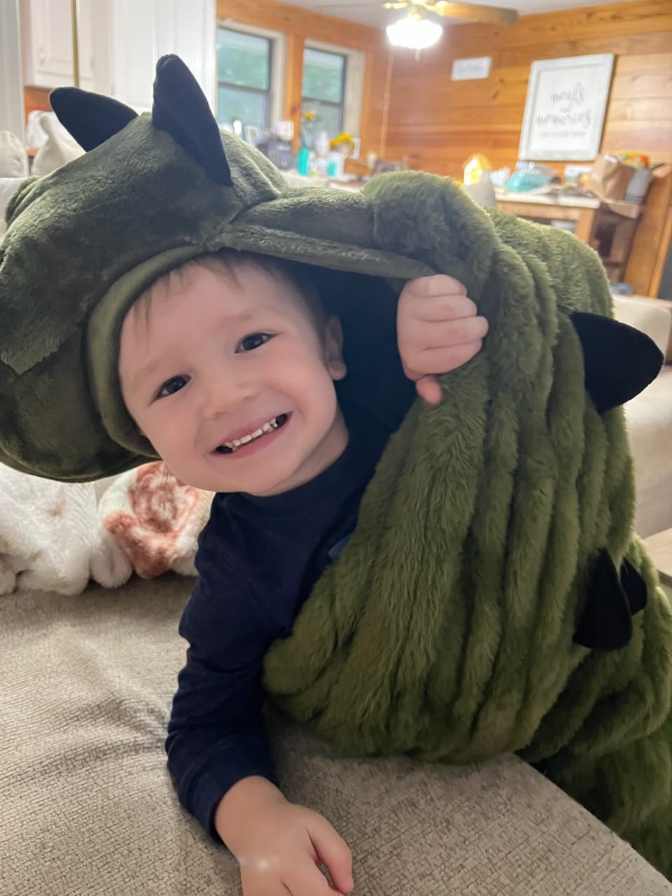 Customer photo review of Huggable Dino
