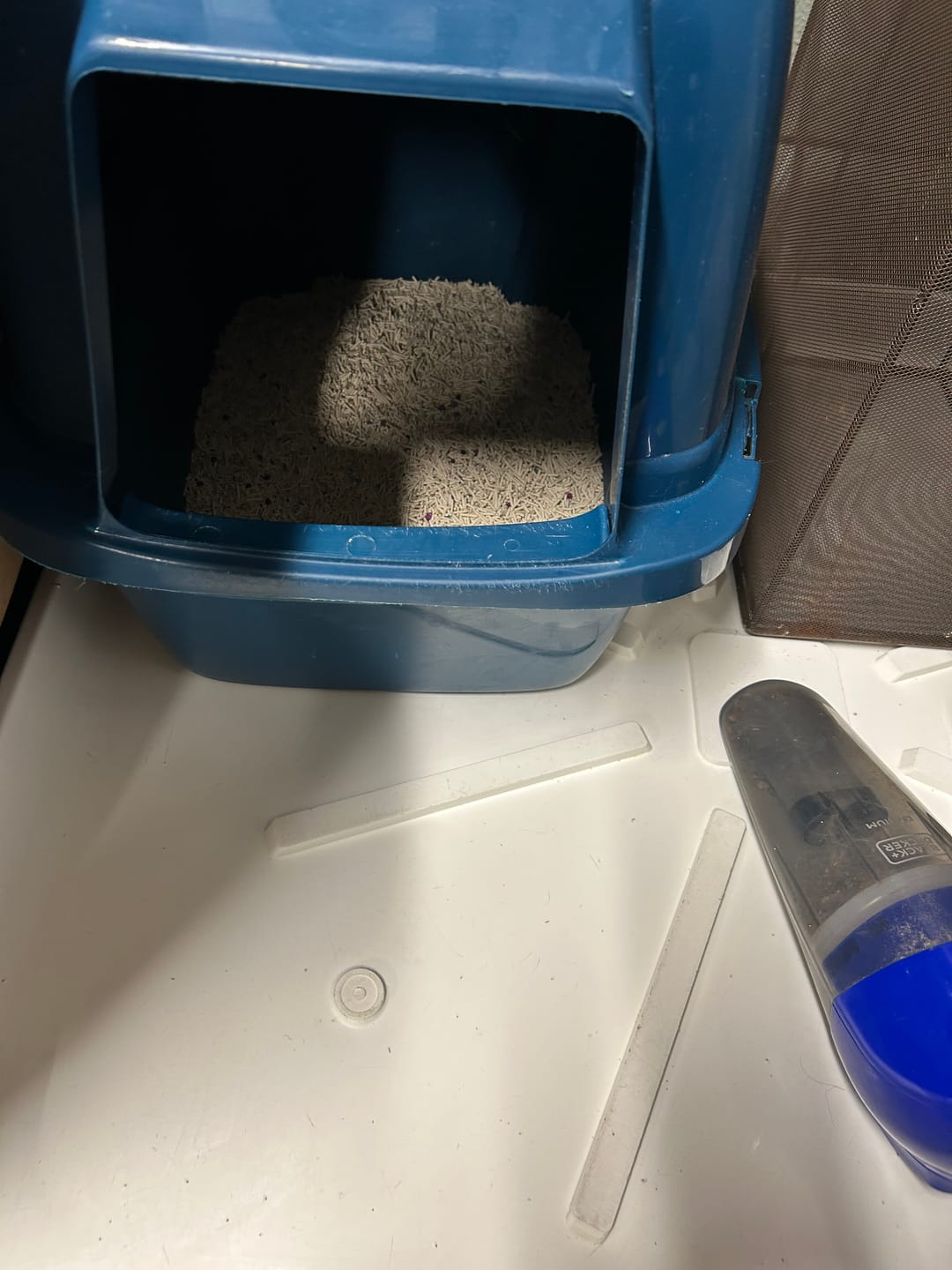 Customer photo review of Michu Premium Mixed Tofu Cat Litter Pro Gen2 6L- Value Box 11lb