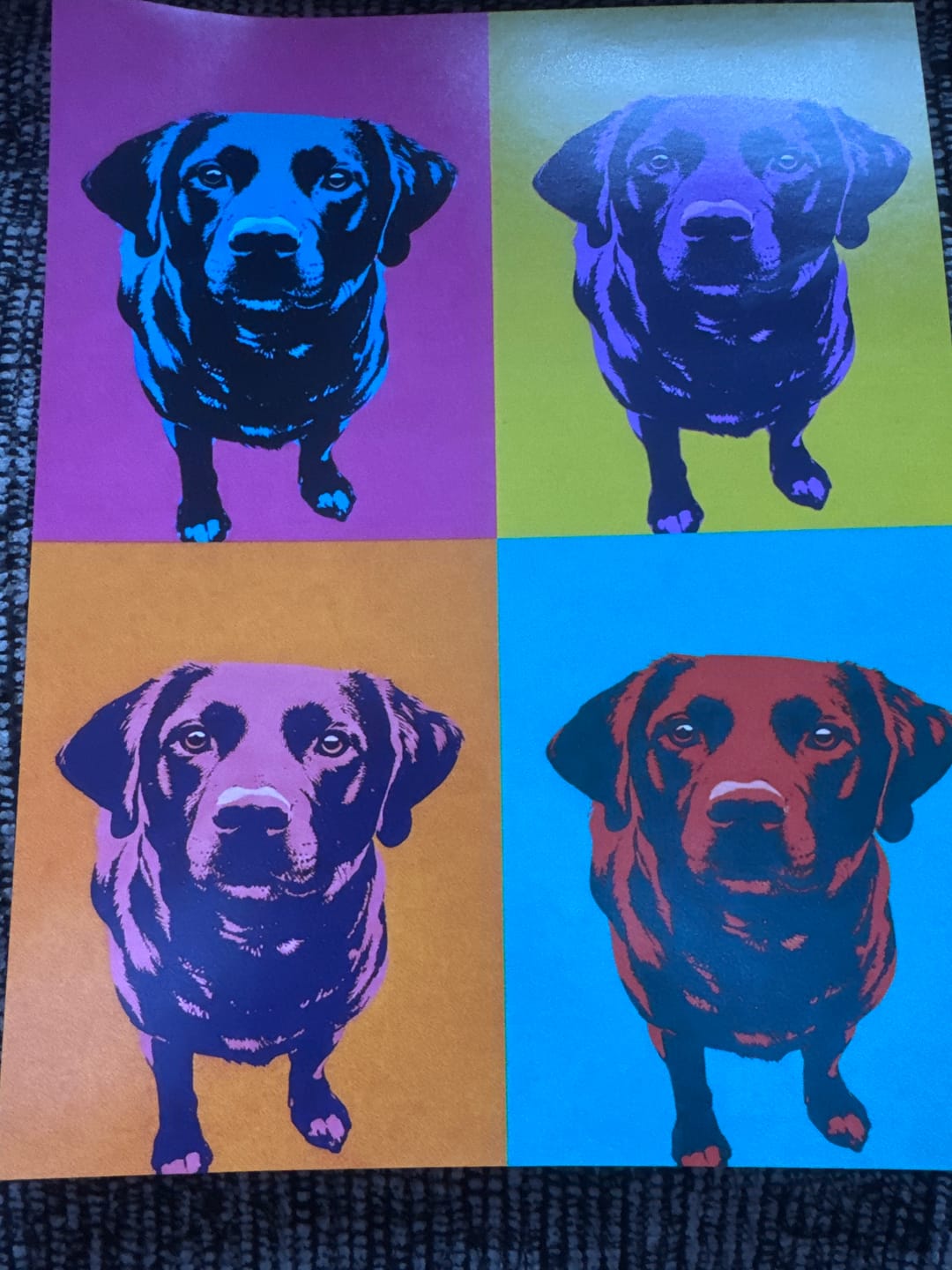 Customer photo review of Personalised Poster With Dog or Cat - Colour Squares
