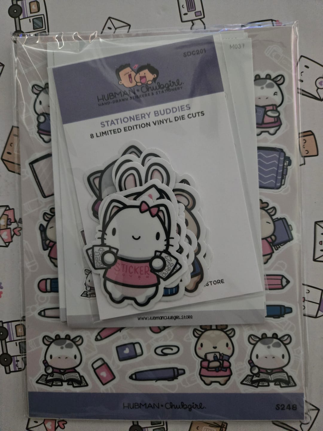 Customer photo review of Stationery Buddies Sticker Set