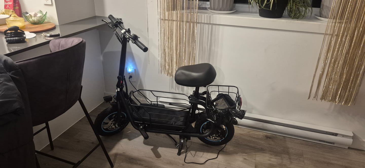 Customer photo review of Gyroor 800W Electric Scooter with Large Basket for Pets & Cargo