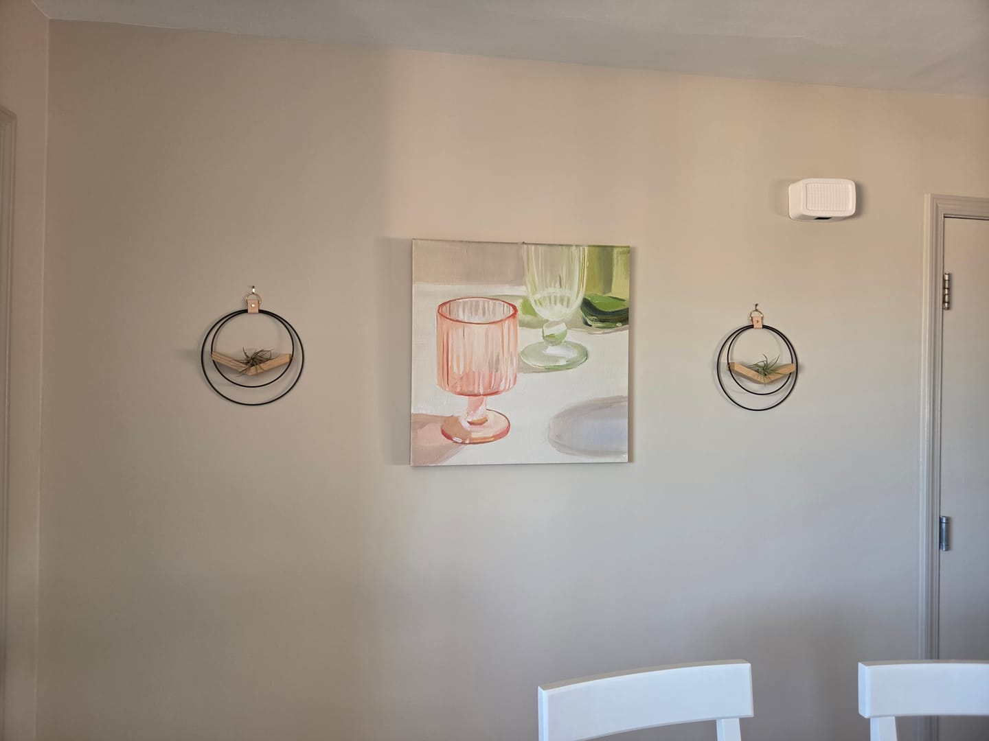 Customer photo review of Air Plant V-Hanger Trio