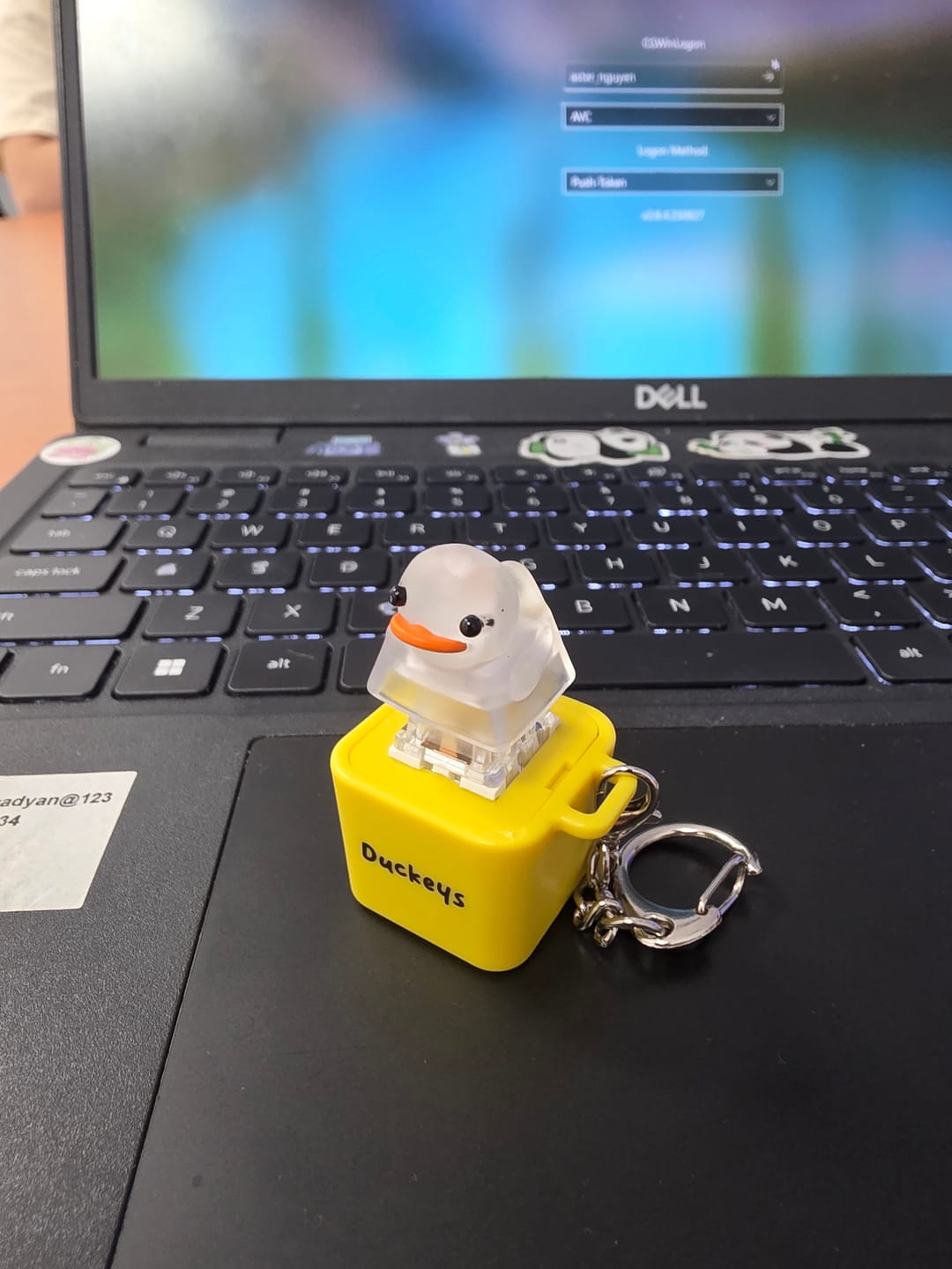 Customer photo review of Quackey - Fidget Toy that Quacks!