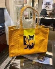 Customer photo review of Parisian Charm Carryall