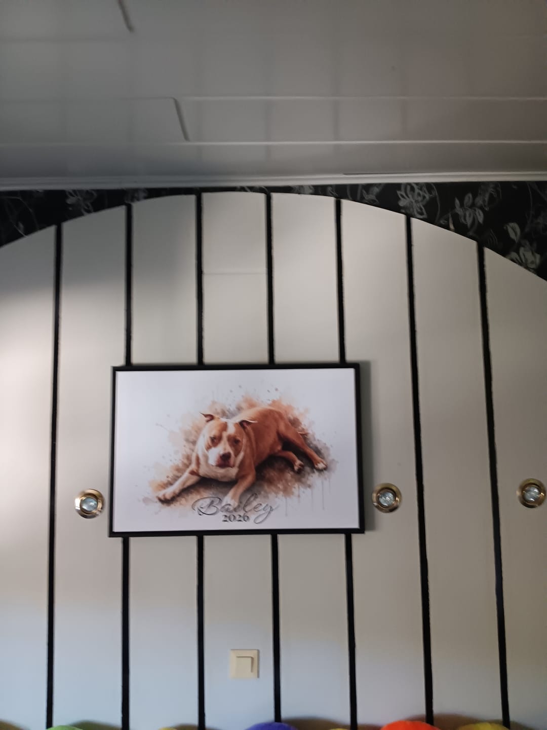 Customer photo review of Dein Haustier als Kunstwerk – mit Live-Vorschau, als Poster oder Leinwand