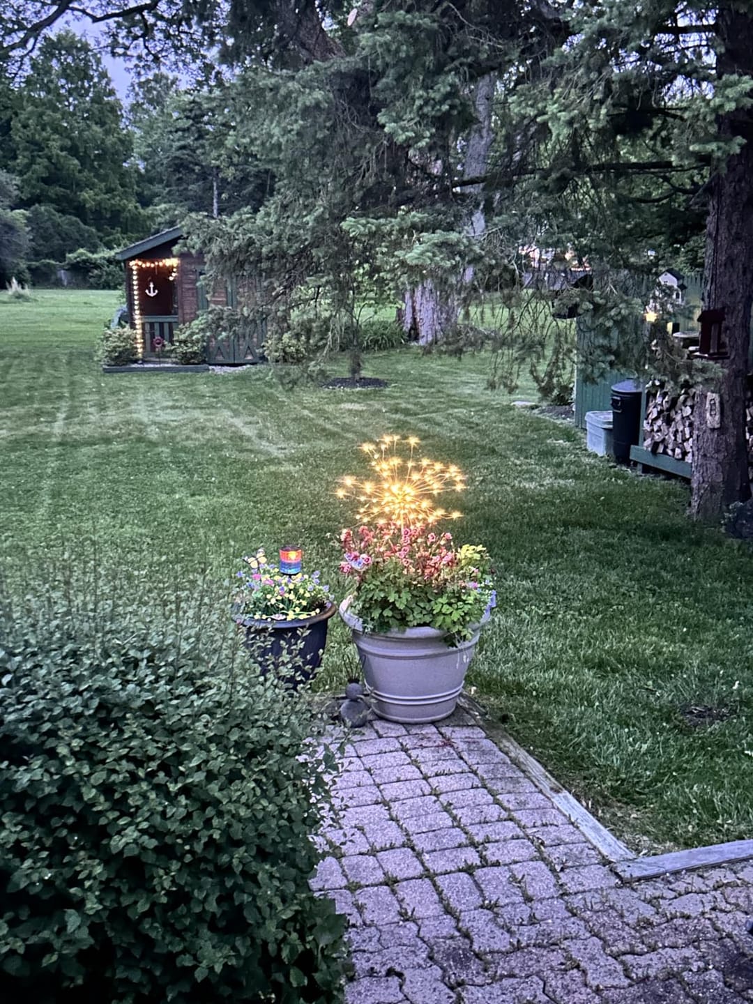 Customer photo review of Lampes Solaires Jardin LED Feu d’Artifice – Éclairage Extérieur Magique