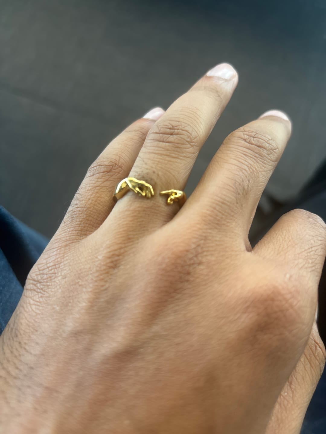 Customer photo review of Creation of Adam Ring