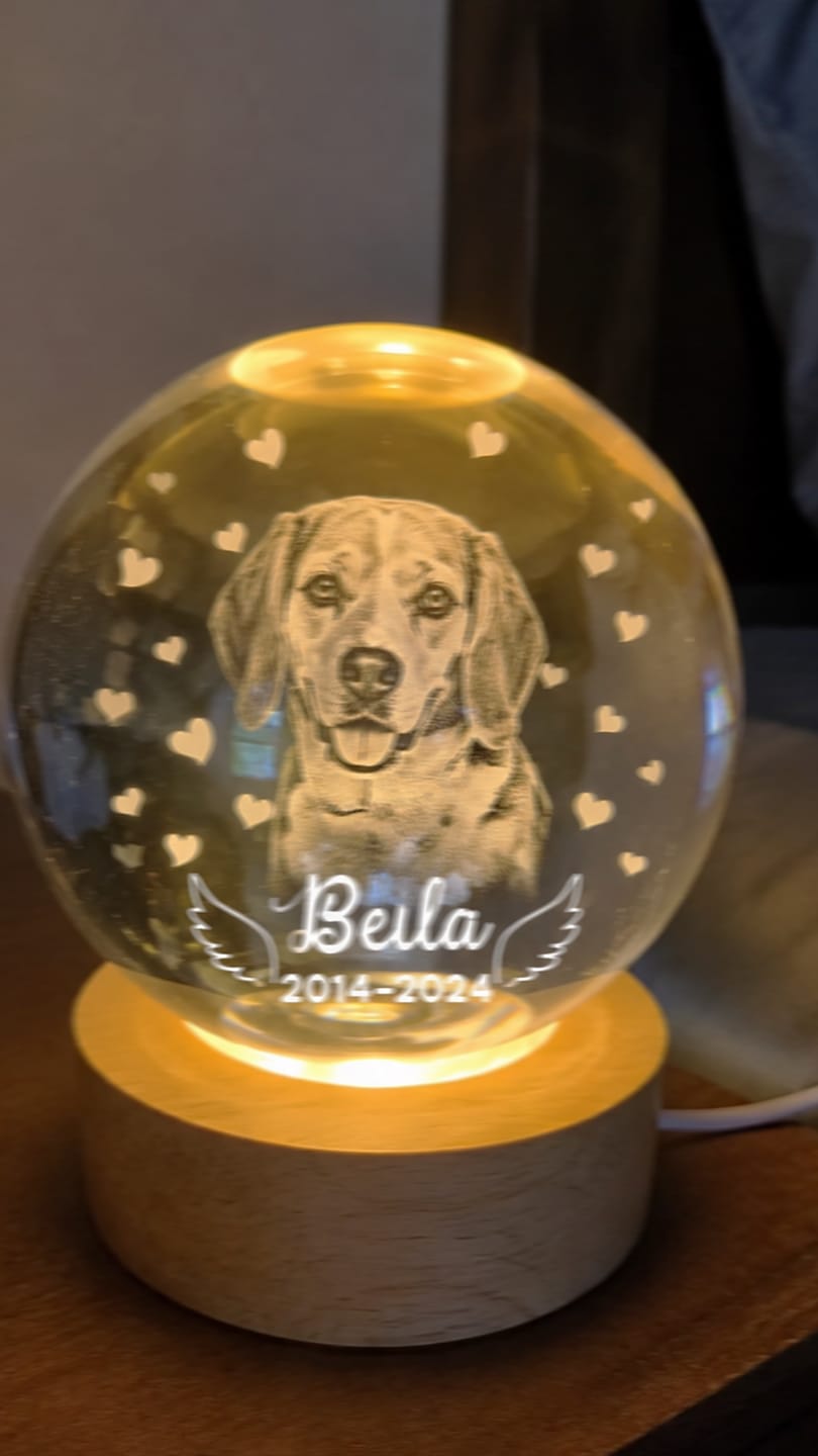 Customer photo review of Dog Angel Wings Memorial - Personalized Crystal Ball LED Night Light - Sympathy Gift For Dog Lovers