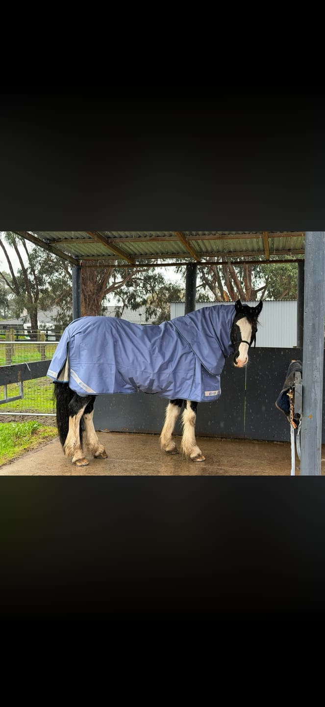 Customer photo review of LE Boxter Turnout Ripstop 50g