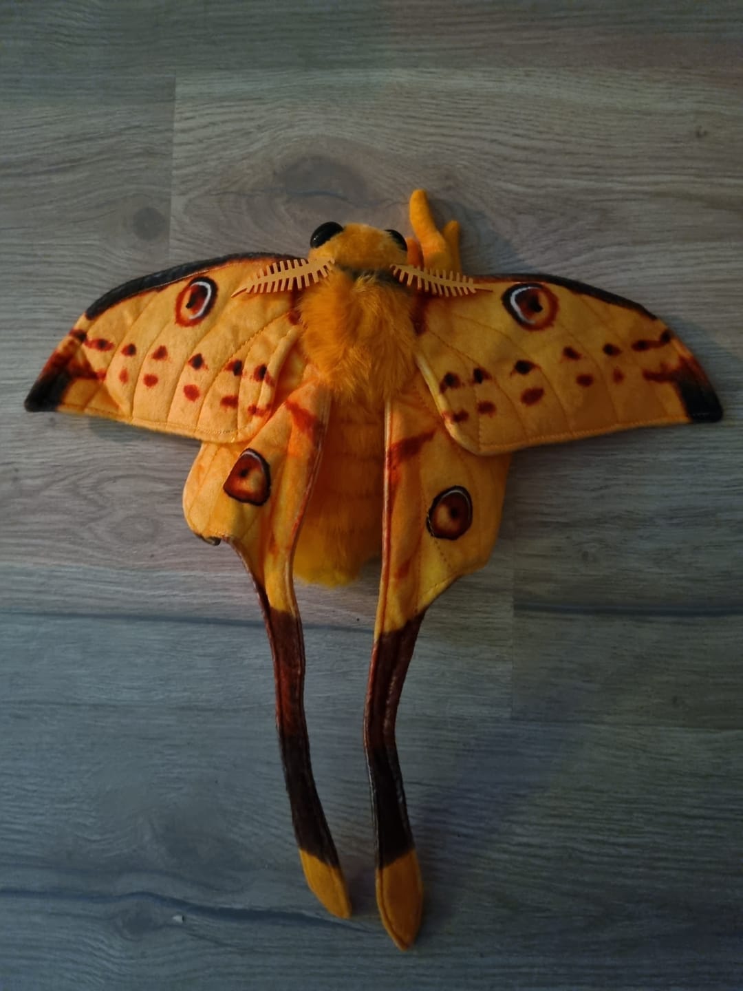 Customer photo review of Comet Moth Soft Stuffed Plush Toy