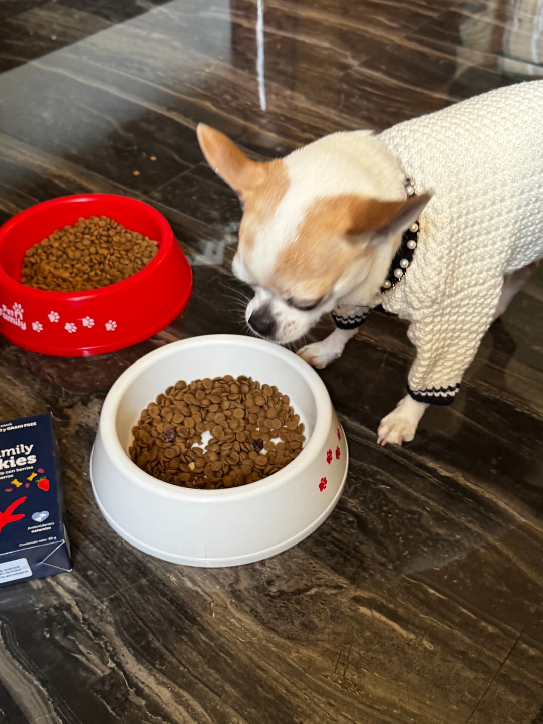 Customer photo review of PetFamily Cookies