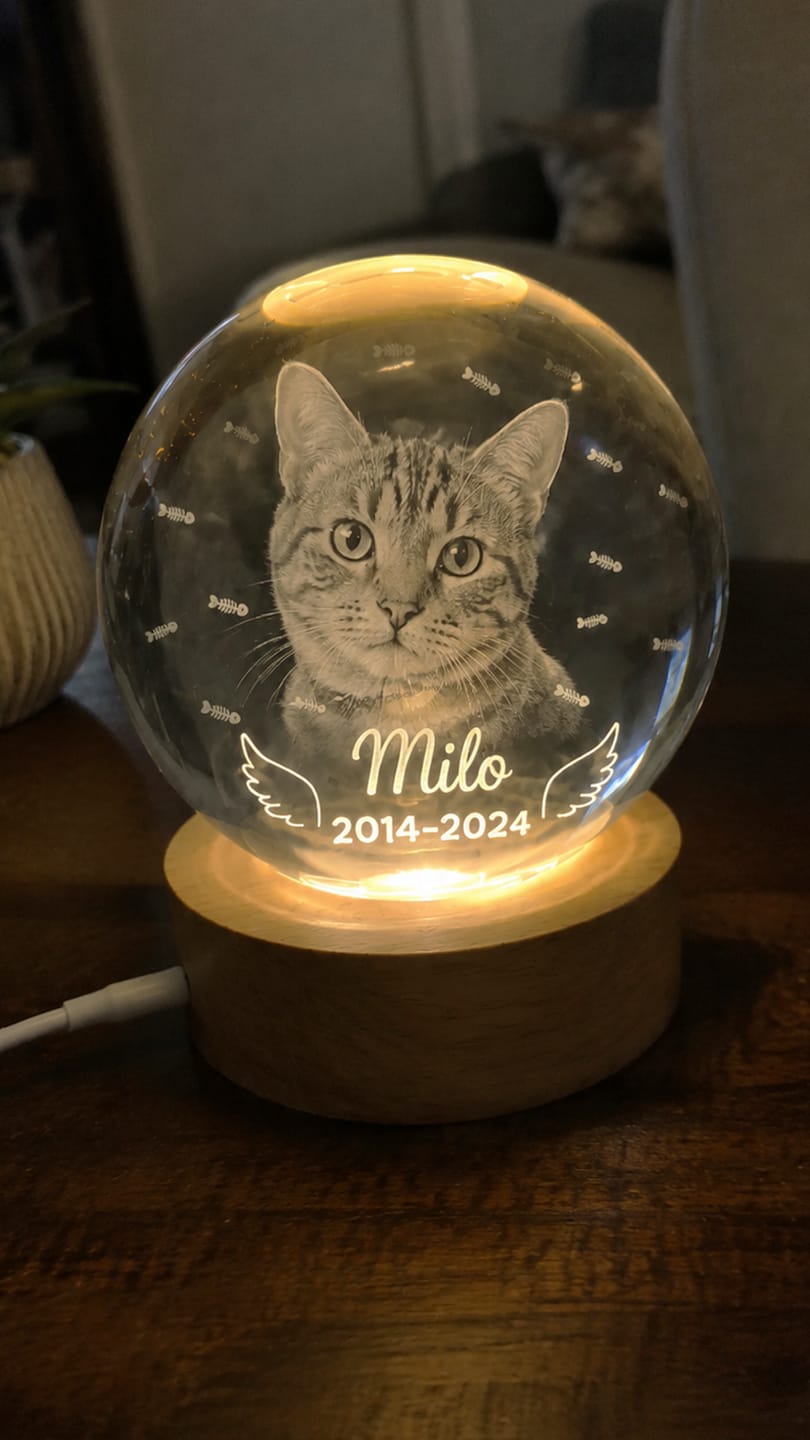 Customer photo review of Dog Angel Wings Memorial - Personalized Crystal Ball LED Night Light - Sympathy Gift For Dog Lovers