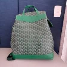 Customer photo review of Summit Elegance Backpack