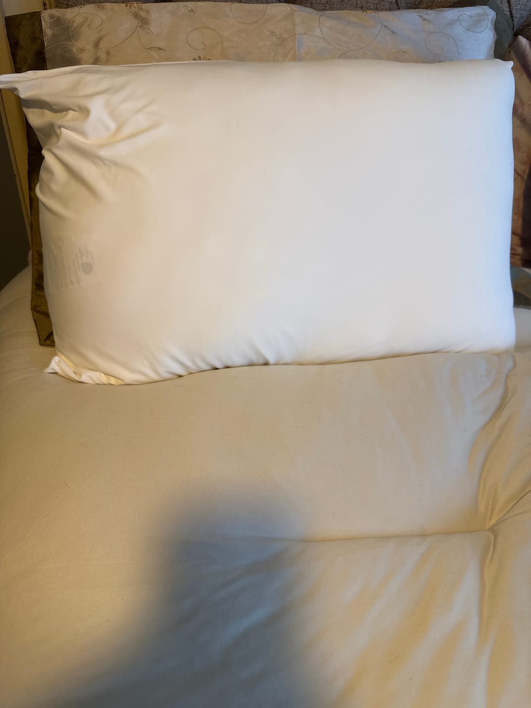 Customer photo review of The Marshmalloo Pillow