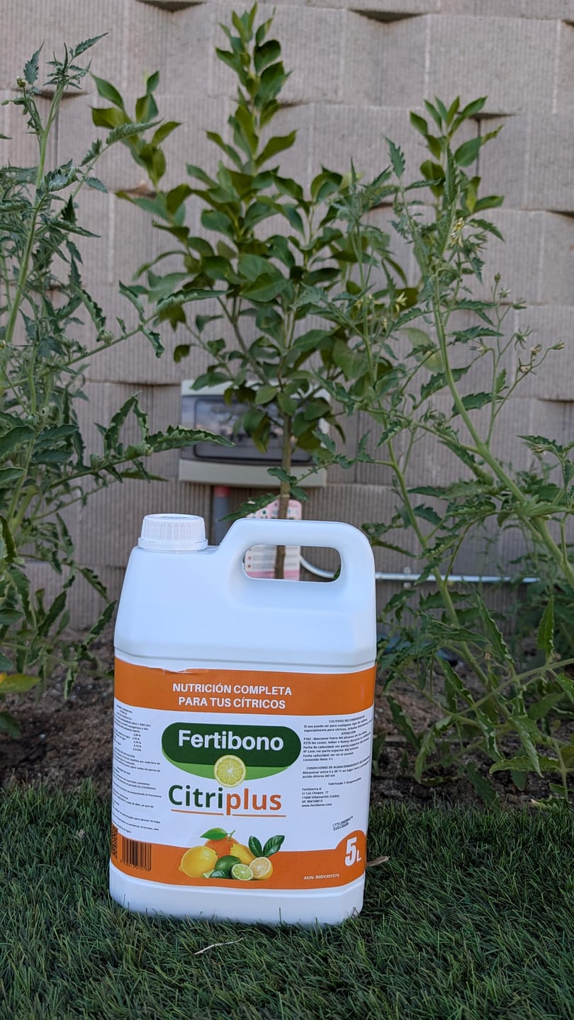 Customer photo review of Fertibono CitriPlus: Abono Cítricos, (5L), Rico en Hierro, Zinc, Calcio,Manganeso, Magnesio, AminoAcidos y NPK - Abono Plantas, Ecológico, Residuo Cero