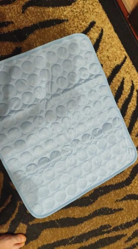 Customer photo review of Tapis Rafraîchissant pour Chat – Offrez-lui un confort immédiat