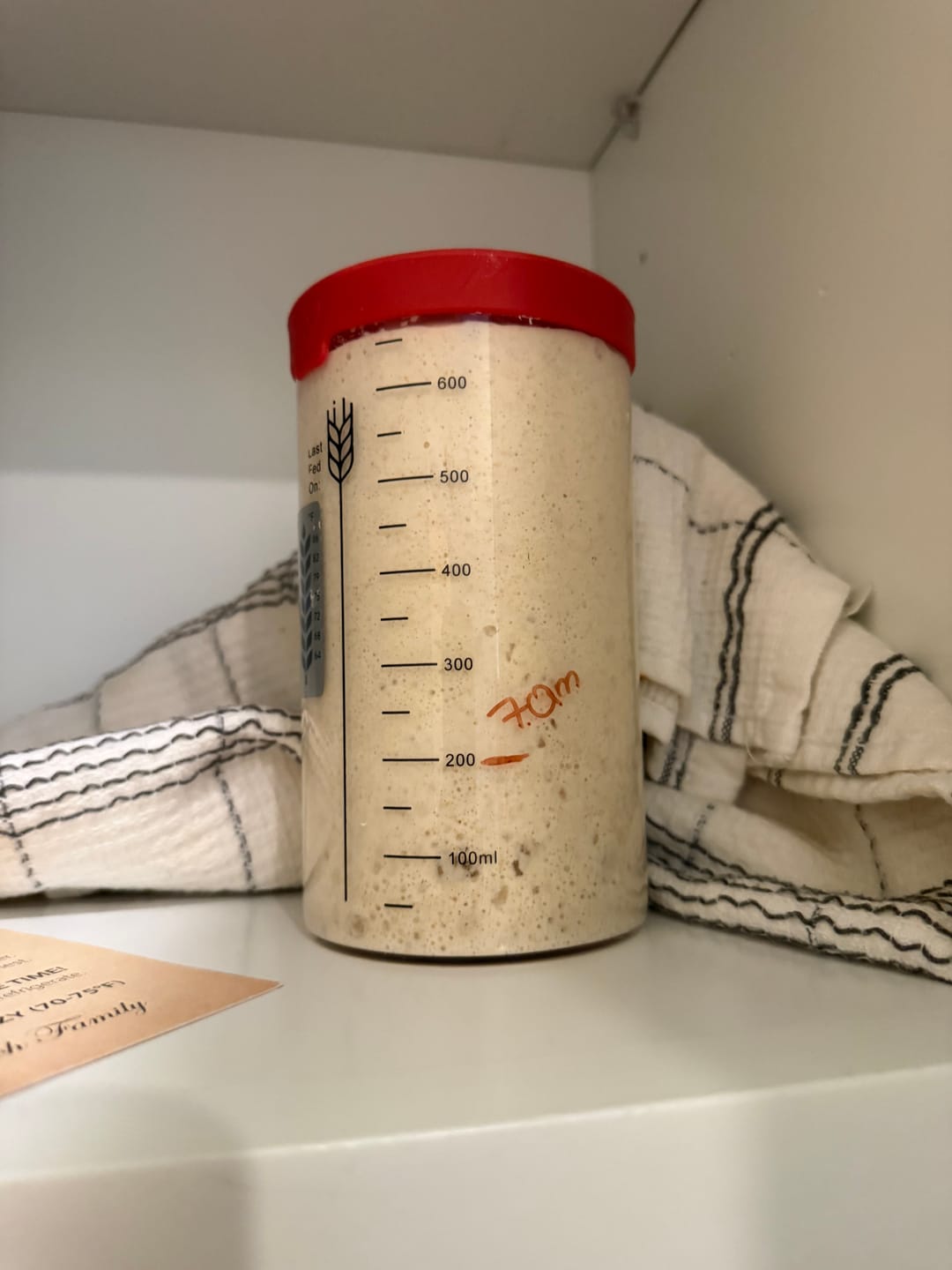Customer photo review of Sourdough Starter Survival Guide | A Clear, Beginner-Friendly System for Feeding & Maintaining a Healthy Starter