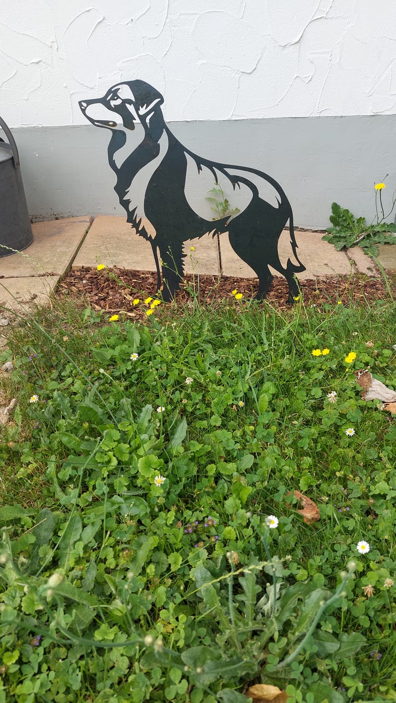 Customer photo review of Gartenstecker Australian Shepherd