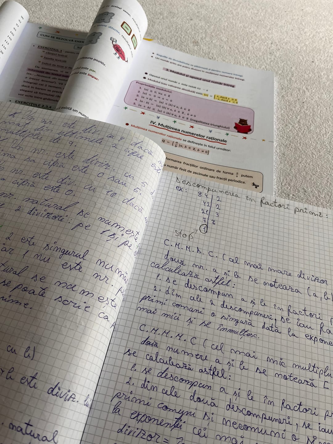 Customer photo review of Pachet Evaluare Națională (Română + Matematică) Bacademia