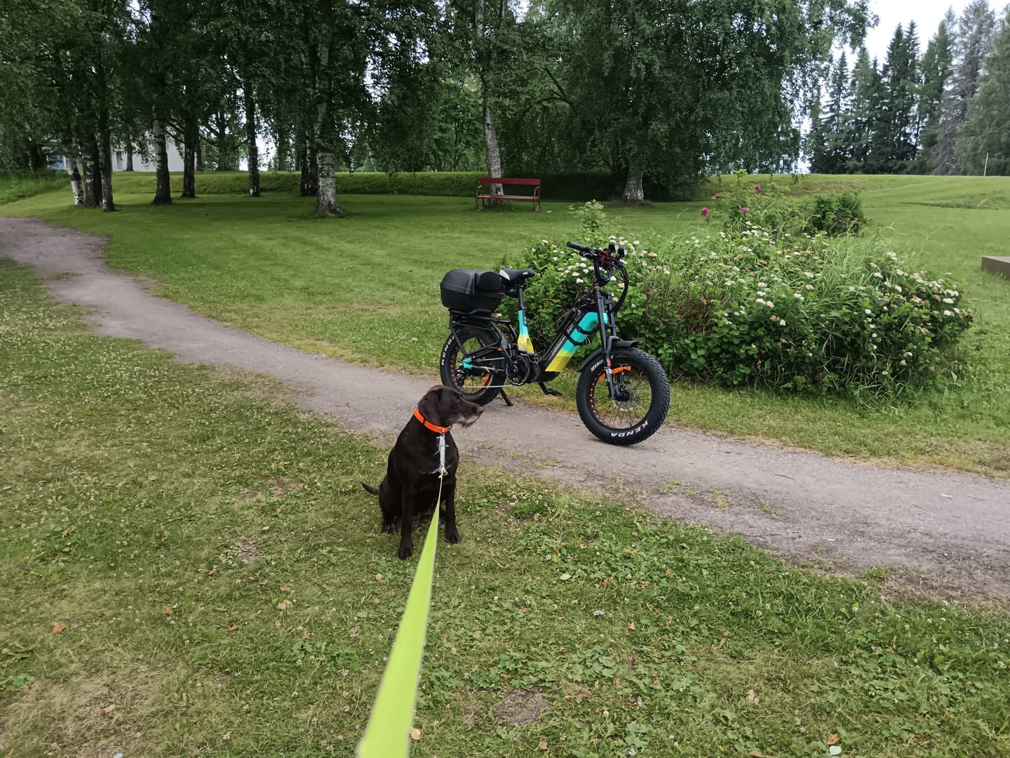 Customer photo review of Lankeleisi RX800 Plus 2025 Version 1000W 20" Fat Bike 960Wh Full Suspension Electric Bike with Torque Sensor 48V 20Ah Battery SUV E-Bike